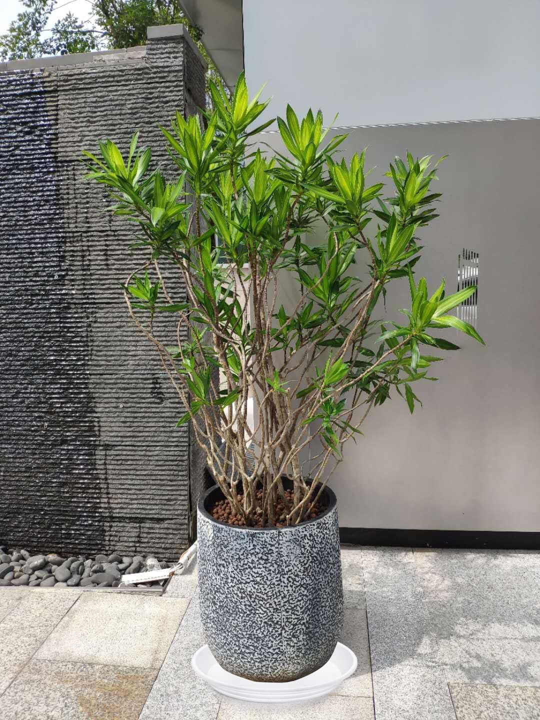 Plant Saucer 16 inch, 4 Pack 17 inch (16.8") Plastic Large Flower Planter Plant Pot Saucers and Drip Tray for Indoors Outdoors, Heavy Sturdy Durable Plant Plate Water Catcher (White)