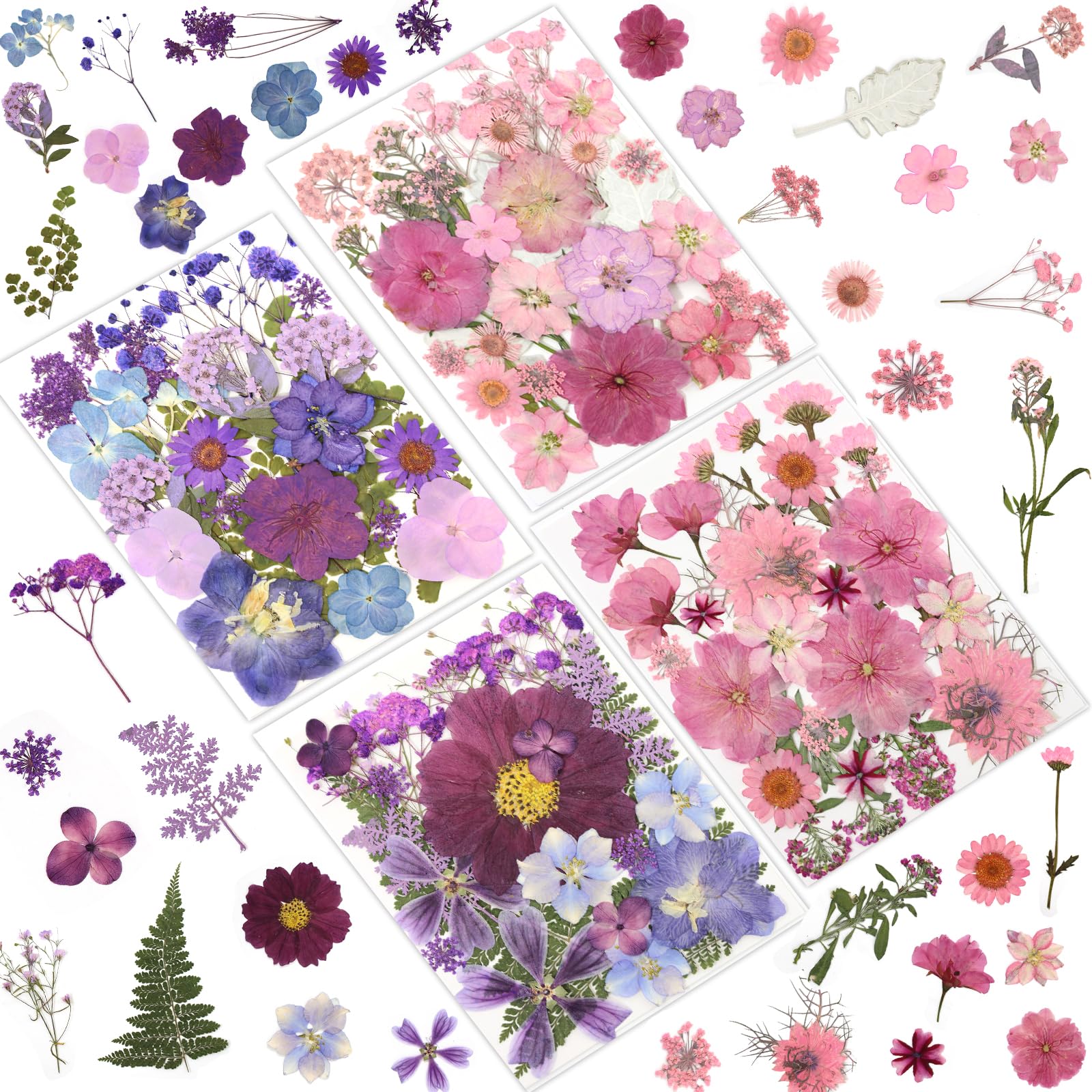 100 Stück getrocknete gepresste Blumen zum Basteln, echte natürliche getrocknete gepresste Blumen in Rosa, Lila und Blautönen für Harz, DIY-Kunst, Schmuck, Kerzen und Seife – Pinzette im Lieferumfang
