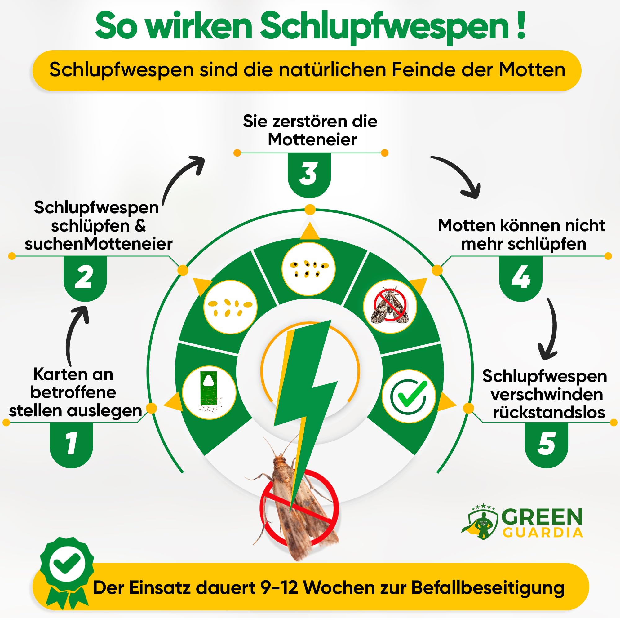 GREEN GUARDIA Vespe contro le tarme, 1 biglietto da 4 consegne, efficace contro le tarme, alternativa biologica ed ecologica alle trappole per tarme, spray per tarme, trappola per feromi