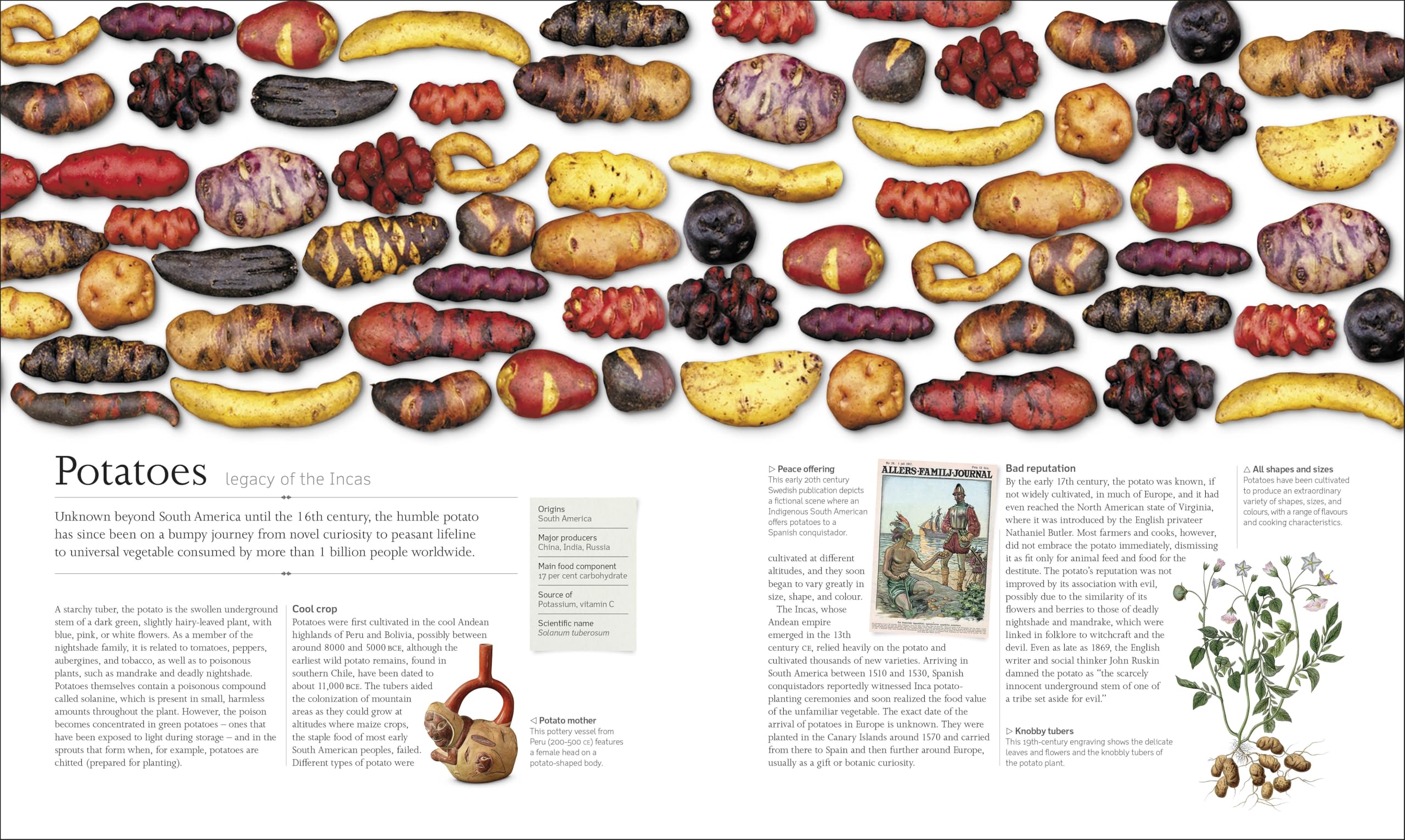 The Food Book: The Stories, Science, and History of What We Eat