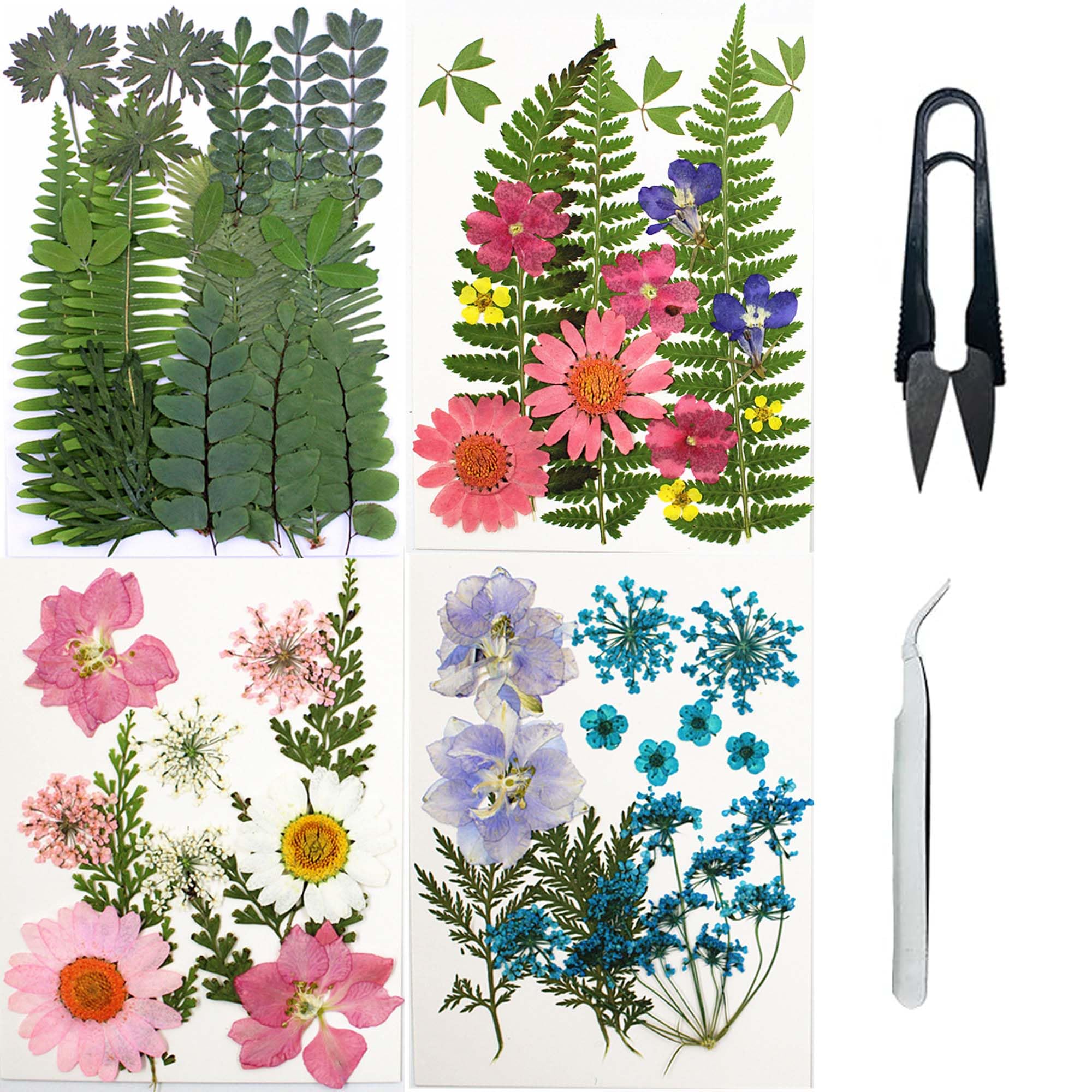 Materiale Artigianale Resina Cayway 173 Fiori E Foglie Pressati Naturali - Per Resina, Scrapbooking, Gioielli, Con Pinzette E Adesivi Farfalla Materiale Gioielli Resina Epossidica