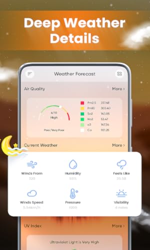 My City Weather