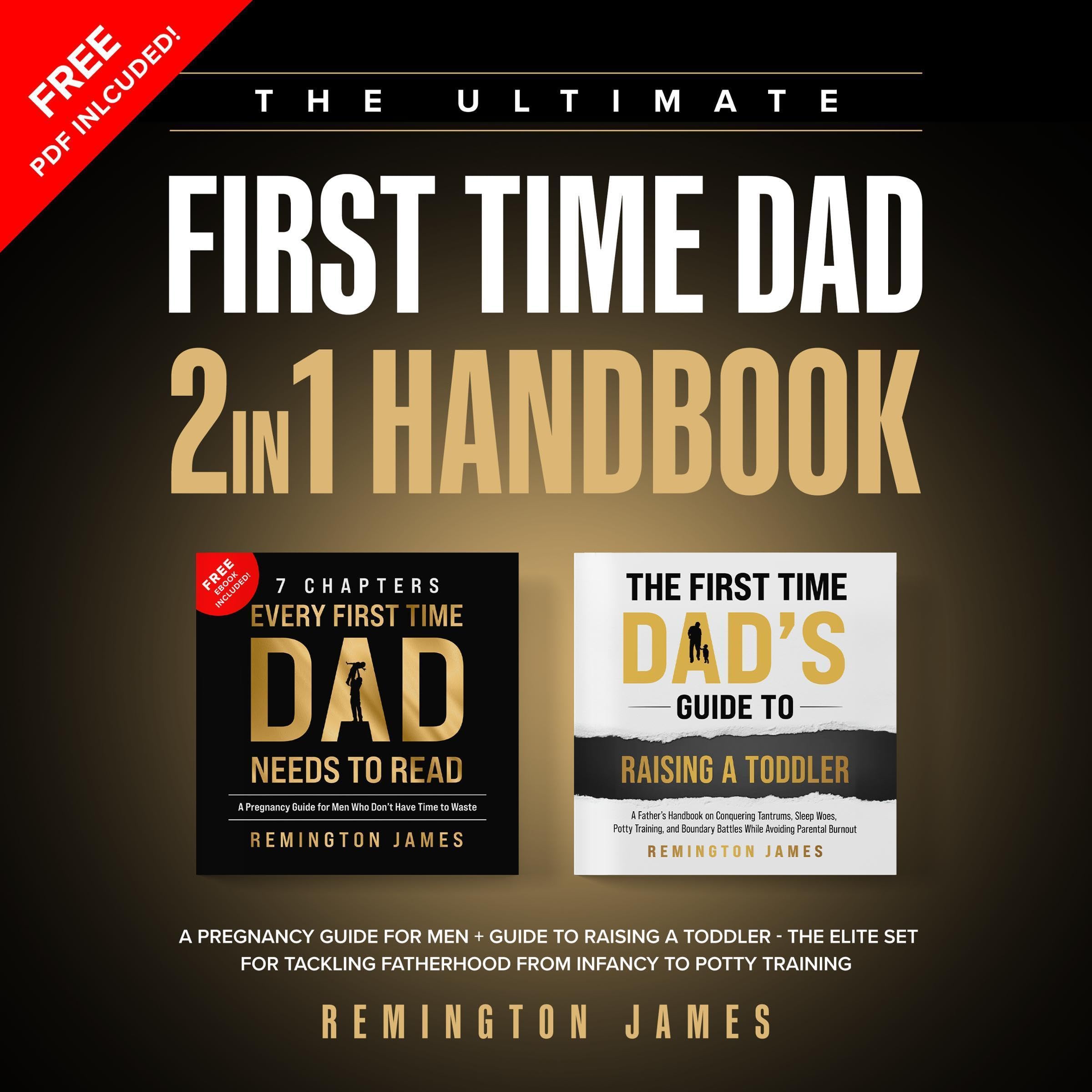 Cover art for The Ultimate First Time Dad, 2 in 1 Handbook