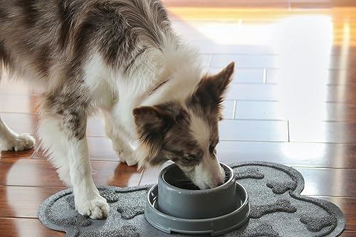 Miniatura 2 de Petlike Tapete de alimentación para mascotas para perros y gatos grandes, antideslizante e impermeable, tapete grande para perros con bonito patrón