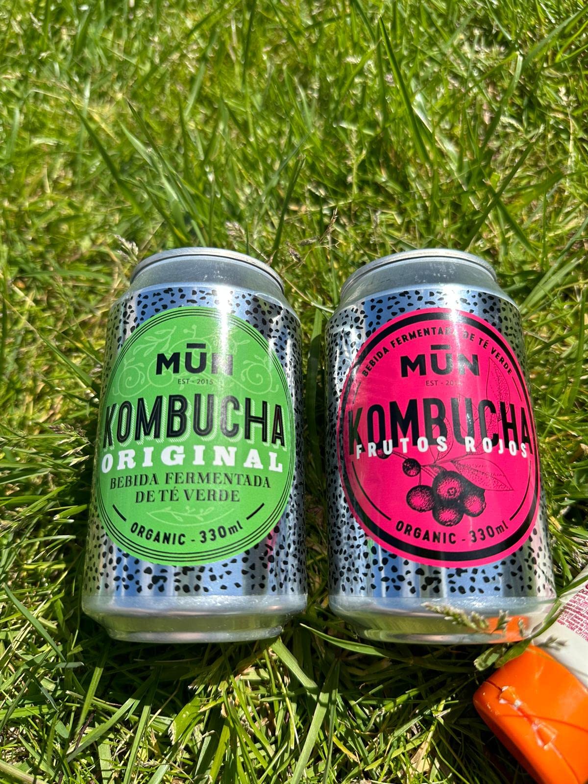 MUN KOMBUCHA ORGANIC - Confezione Mix 12 x 330 ml | Tè Kombucha Biologico e Probiotico Naturale | Senza Zucchero e Basso Contenuto Calorico, Senza BPA | Rinfrescante e Digestivo