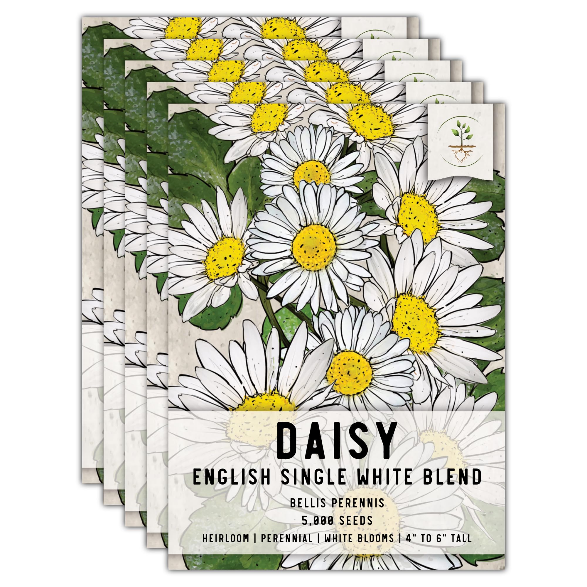 Seed Needs White English Daisy