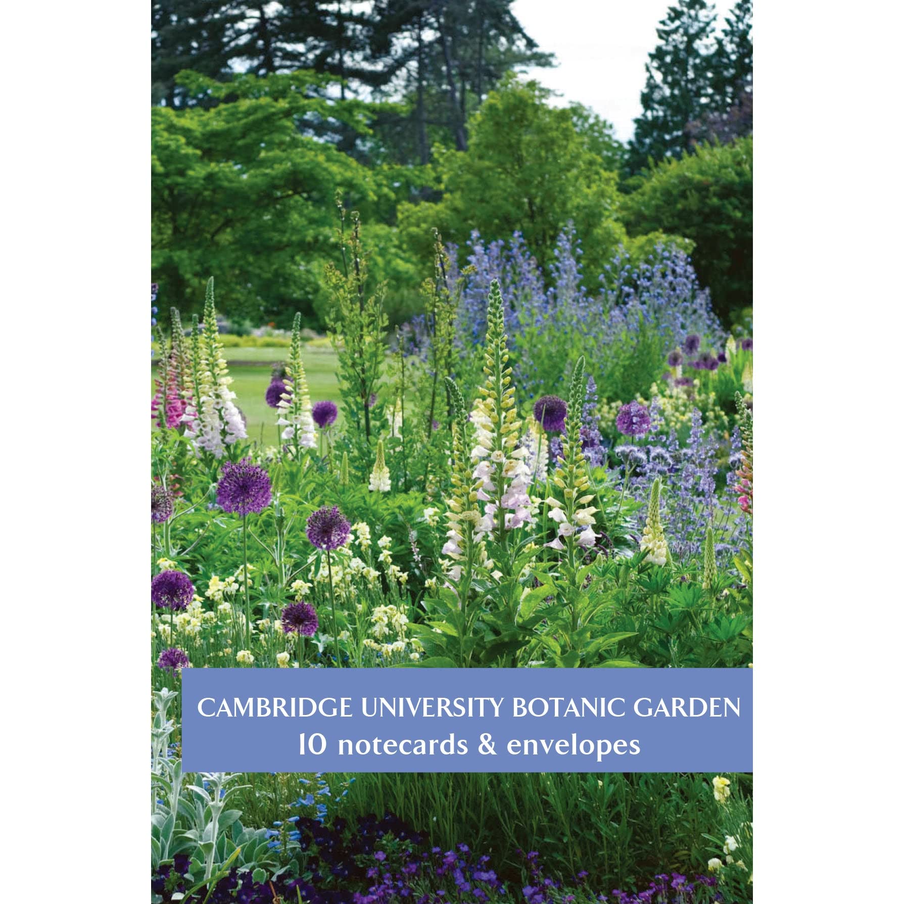 Fitzwilliam Museum Curating Notecard Blank Pack of Greeting Cards University of Cambridge (2 Each of 5 Designs) (Botanic Garden) - Image 2