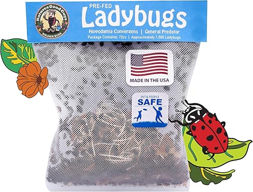 NaturesGoodGuys 1500 Live Ladybugs - Good Bugs- Ladybugs - ¡Entrega en vivo garantizada!