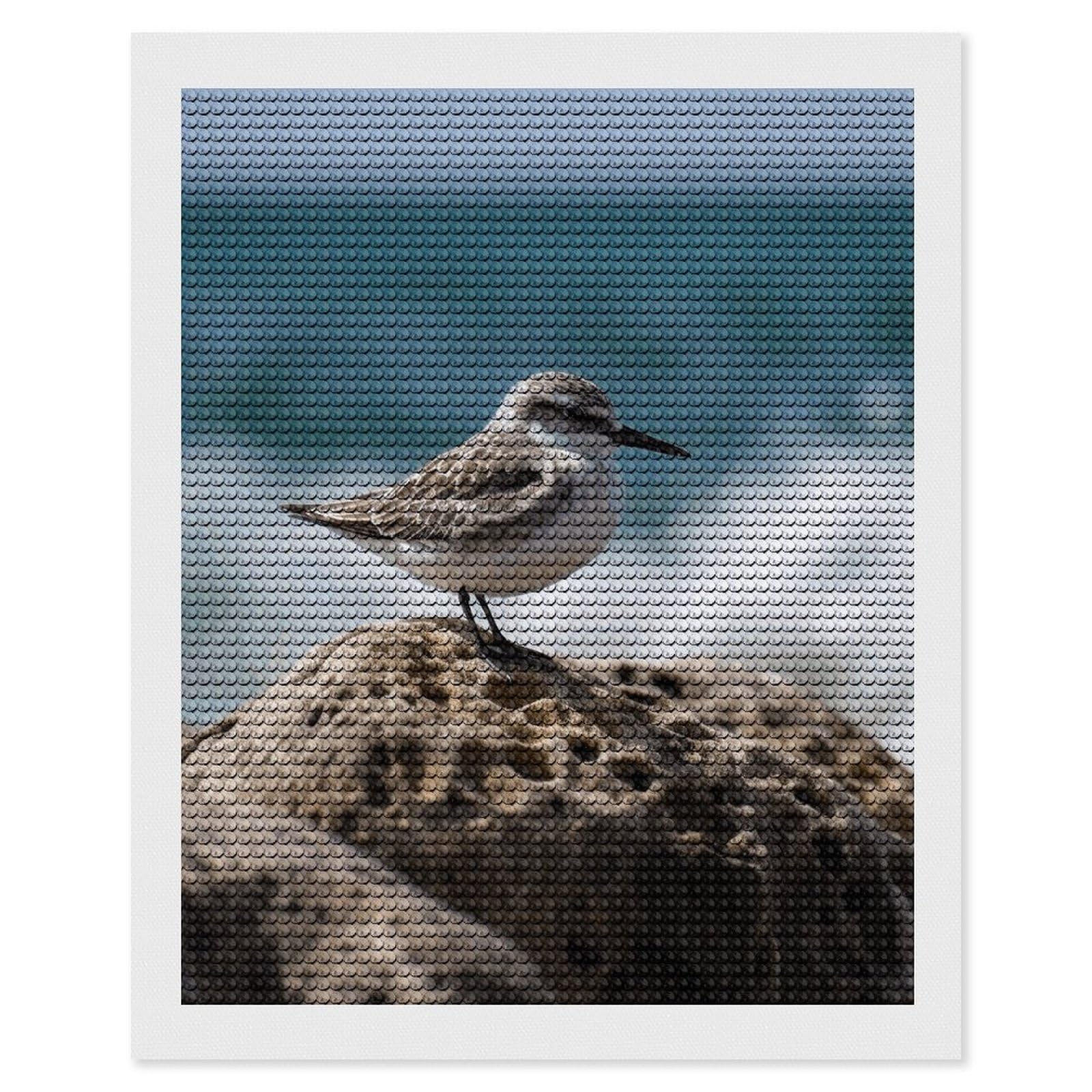 Diamond Painting Kits for Adults - DIY Diamond Art Kits for Beginners - Full 5D Paint Drill Diamond Dots Paintings- Bird Perching on The Rock Diamonds Pictures Gem Art And Craft Wall Decor 16"x20"