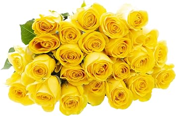 Blooms2Door-25 Yellow Rose Bouquet, Flowers for Valentine, Mothers Day