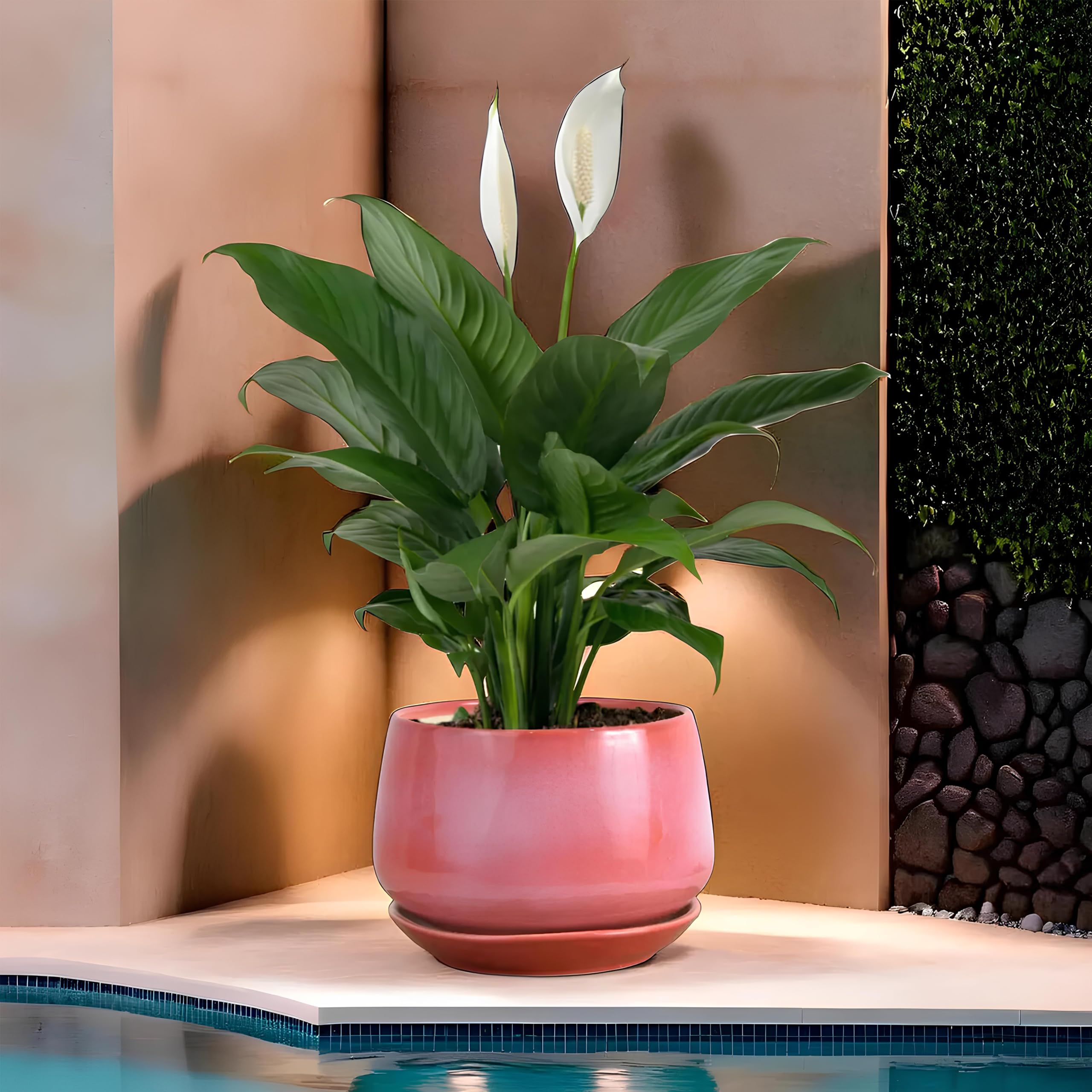 Ceramixs Ghar Ceramic Pot Planter | Ceramic Indoor Planter | Planter for Living Room, offfice | Ceramic Pot for Plants | Palnter with Drainage Hole and Lower Plate (Height : 5 inches) (Aqua) (B0D2KVC5T5) Amazon Price History, Amazon Price Tracker