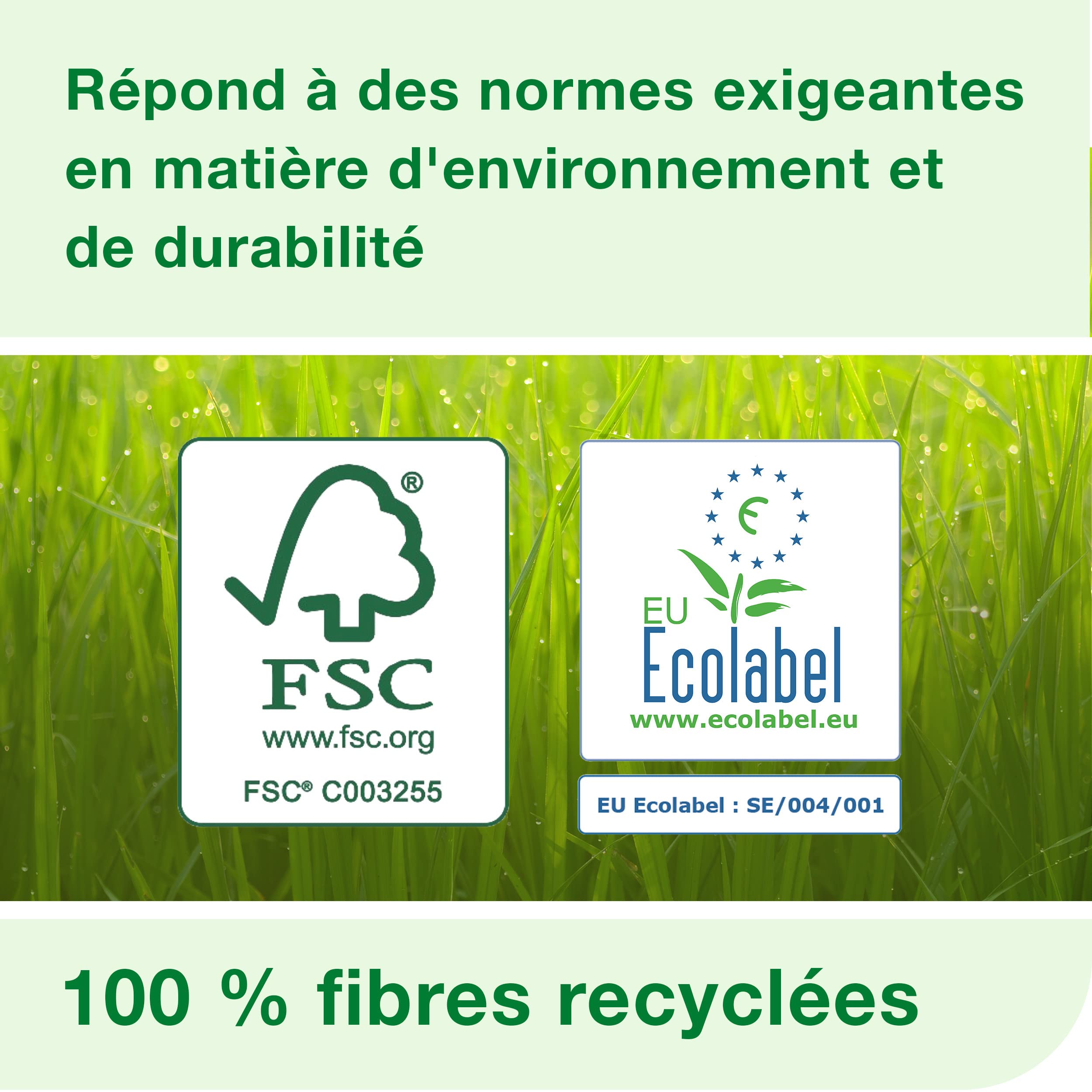 Tork Rouleaux d'essuie-mains blancs H13, 471110 | Advanced, résistants, 6 rouleaux x 143 m
