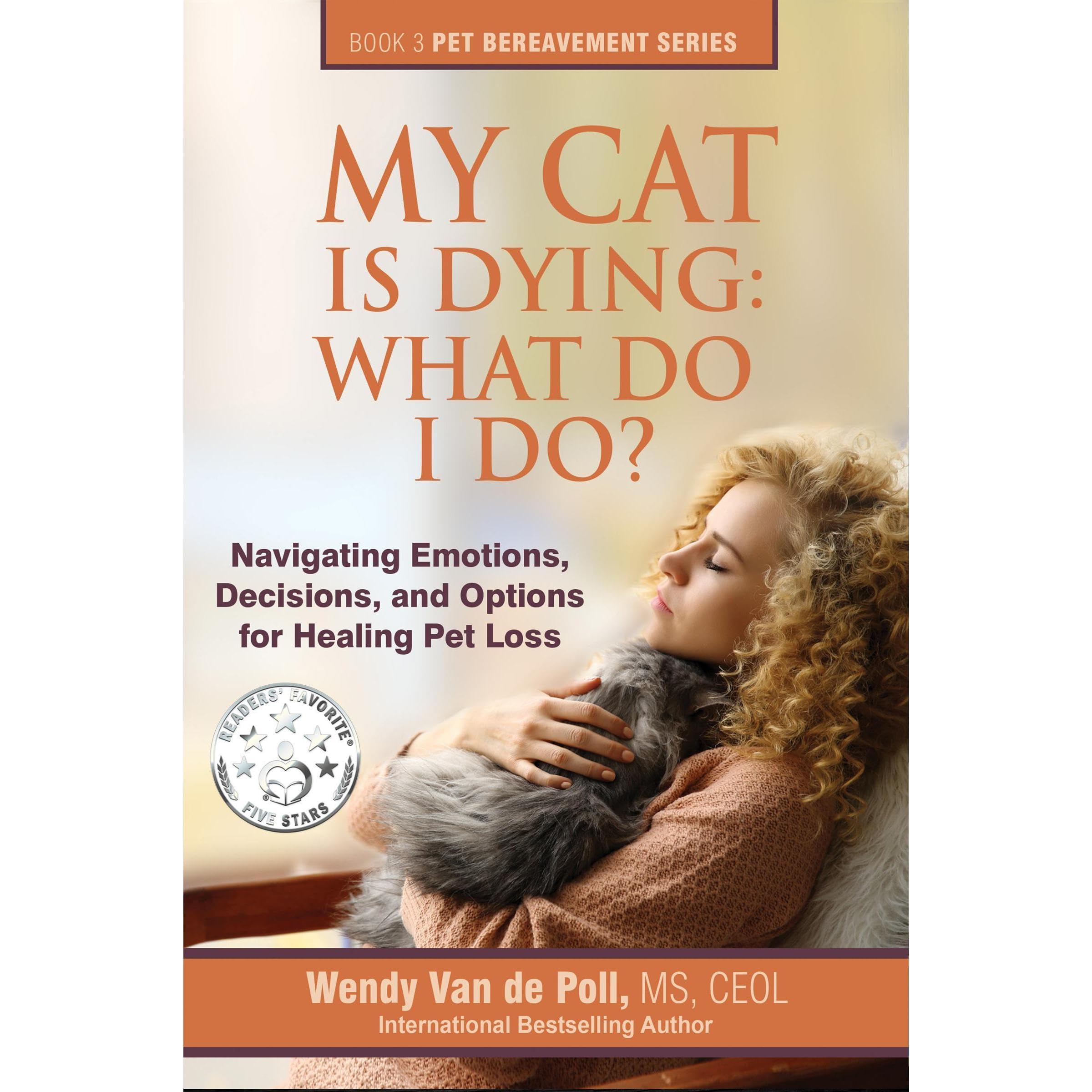 My Cat Is Dying: What Do I Do?