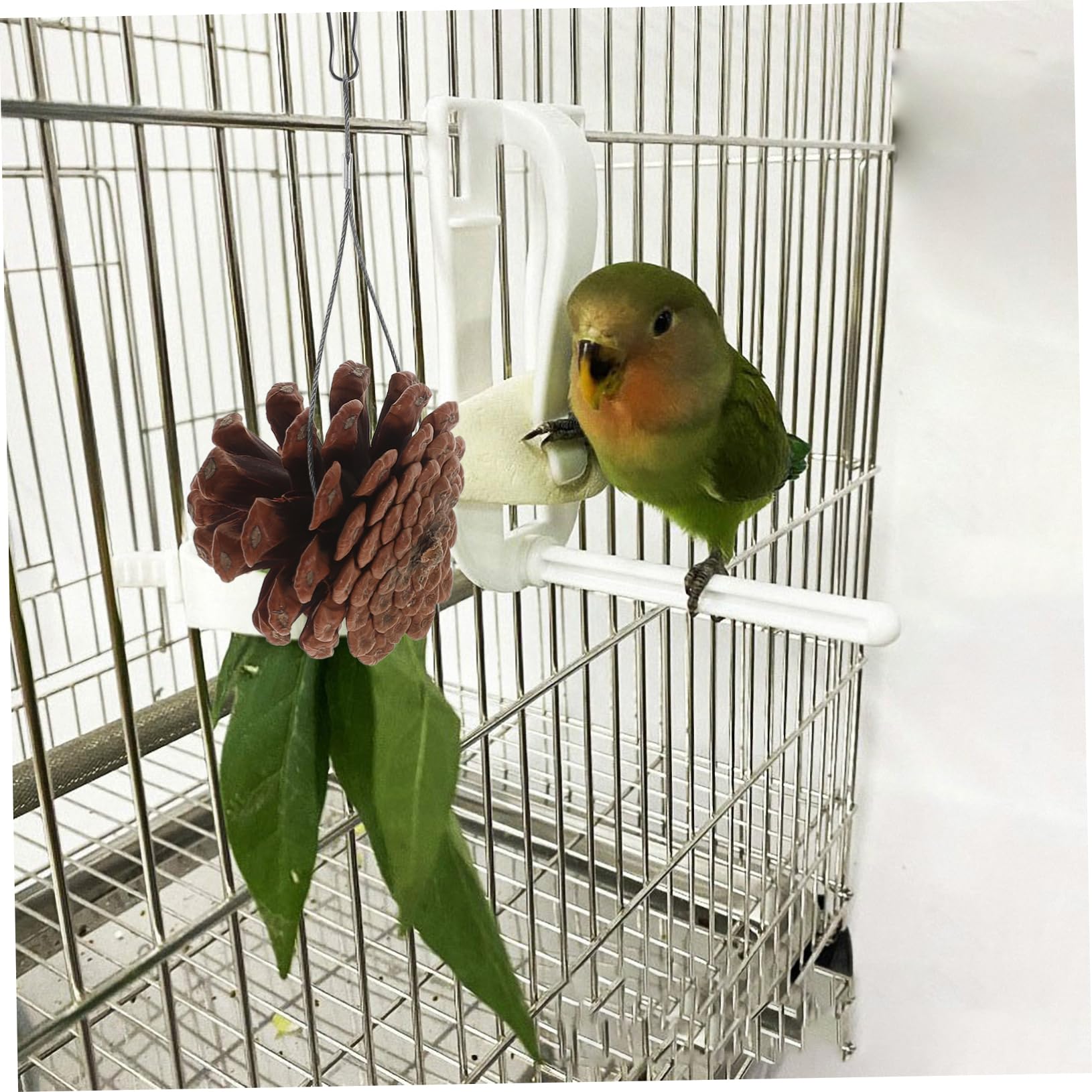 BESPORTBLE 20pièces Jouets à Mordre pour Oiseaux Pigne Naturel Accessoires De Jeu Suspendus pour Perruches Et Perroquets pour Forage Divertissement