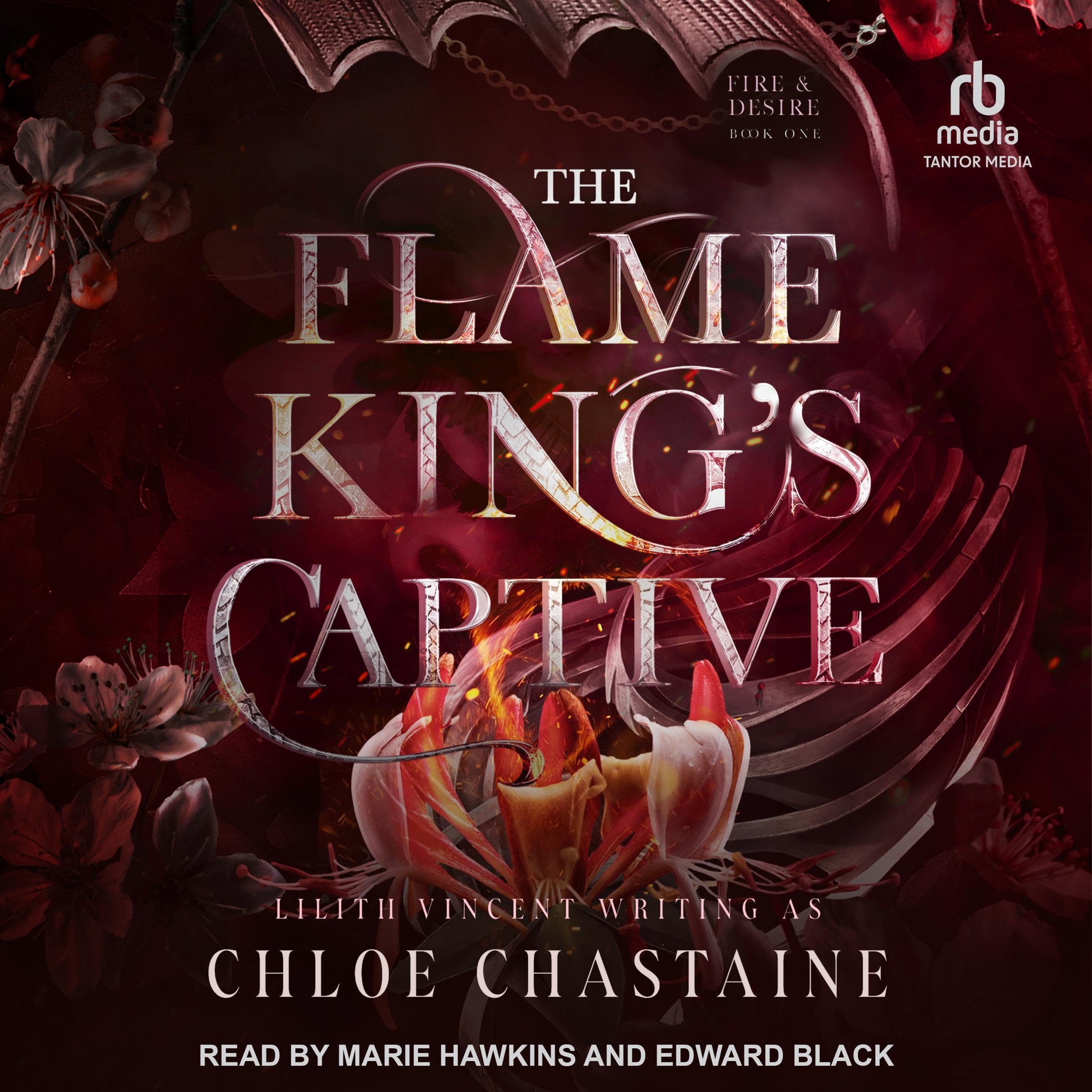 Cover art for The Flame King’s Captive
