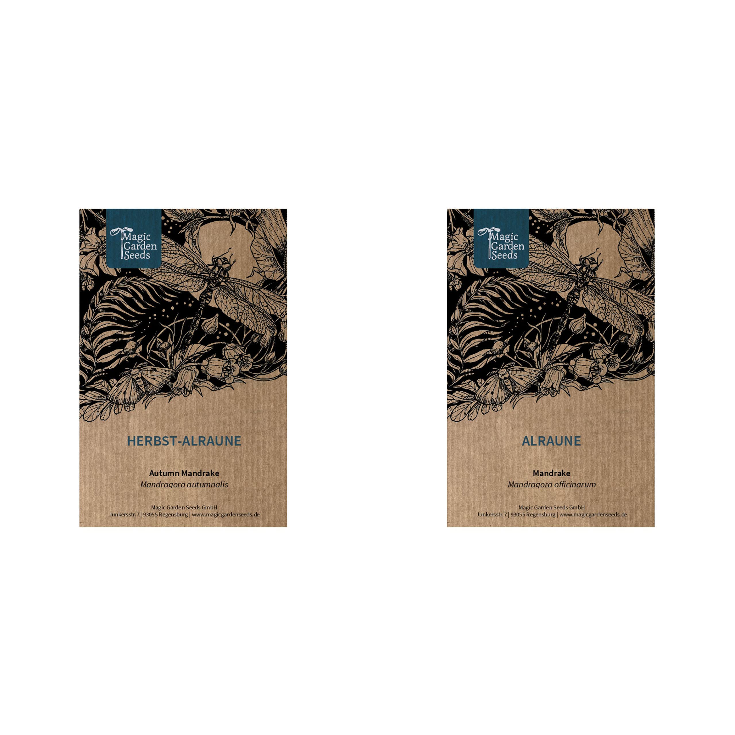 Magic Garden Seeds Variétés de mandragore - Coffret Cadeau de semences avec mandragore de Printemps & d'automne