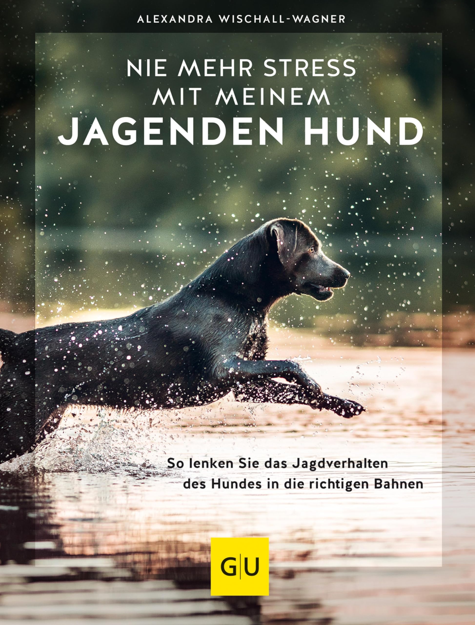 Nie mehr Stress mit meinem jagenden Hund: So lenken Sie das Jagdverhalten des Hundes in die richtigen Bahnen (GU Hundeerziehung)