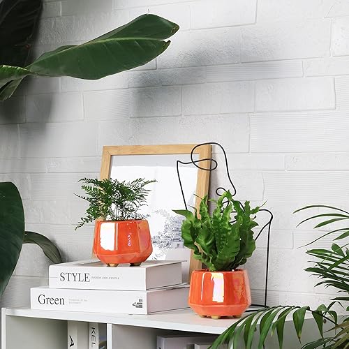 Miniatura 3 de Maceta de cerámica de 6 pulgadas + 4 pulgadas para plantas de interior, macetas con orificio de drenaje, maceta minimalista moderna para suculentas