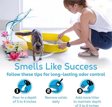 Purina Tidy Cats Lightweight Cat Litter, Clumping Multi Cat, Glade Clear Springs Odor Control, Low Dust, 38 lb. Box