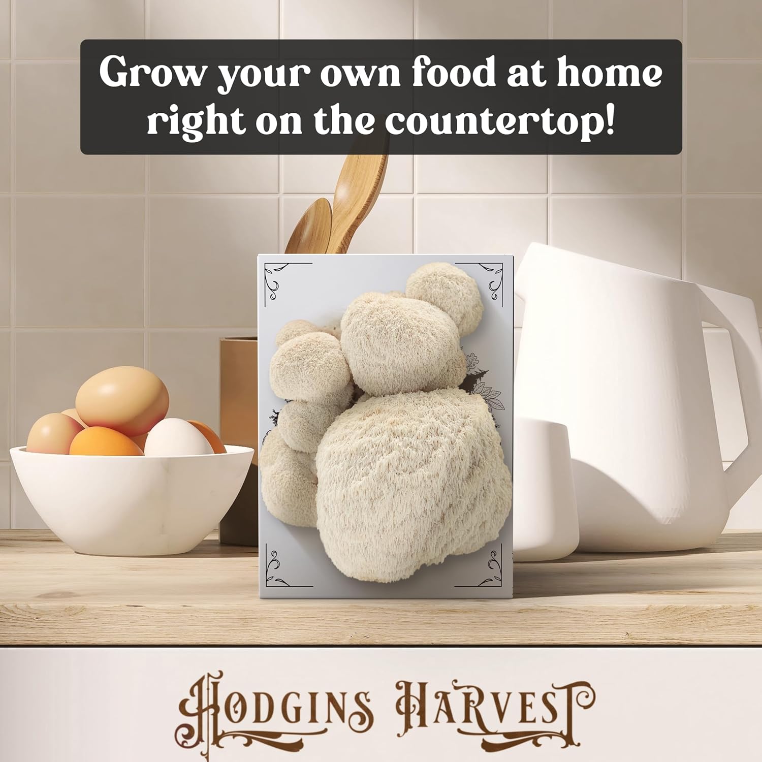 Pink Oyster and Lion's Mane Mushroom Bundle - Buy 2 and Save