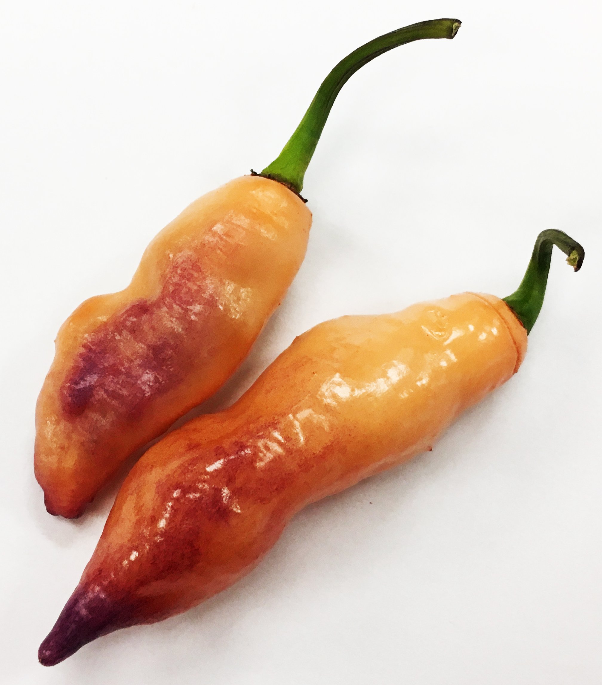 Pink Tiger Pepper Premium Seeds for Planting Packet