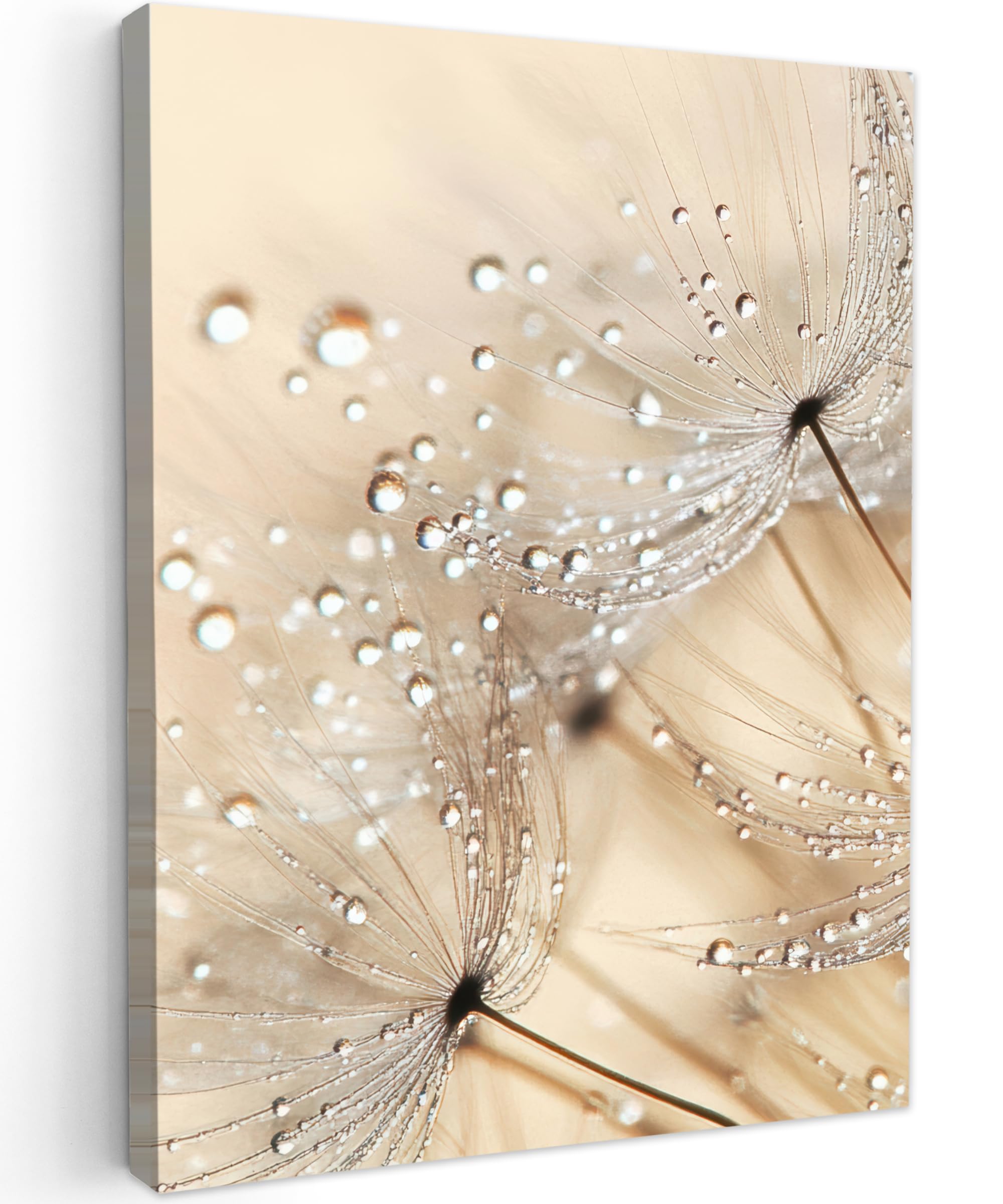 MuchoWow© Canvas Wall Art 20"x28" / 50x70 cm Decor Prints for Living Room Decorative Canvases Hall Artwork Dandelion - Abstract - Nature - Beige