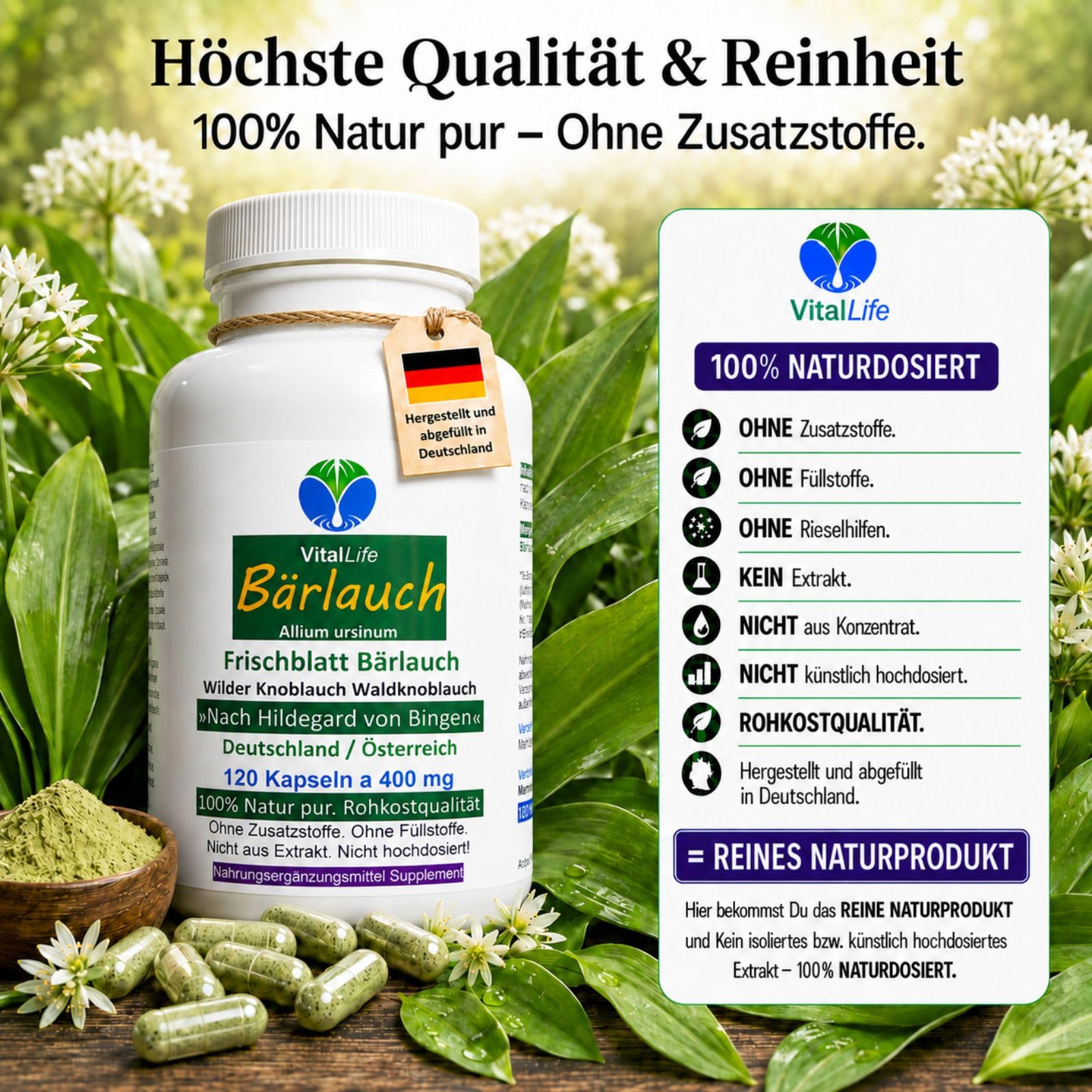 Bärlauch Wilder FRISCHBLATT BÄRLAUCH 360 (3x120) Kapseln Waldknoblauch nach Hildegard von Bingen mit Alliin, Allicin & Chlorophyll. Geruchlos, ohne Aufstoßen. OHNE Zusatzstoffe. 26805-3