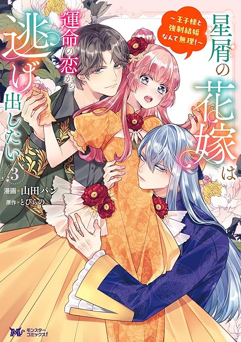 星屑の花嫁は運命の恋から逃げ出したい～王子様と強制結婚なんて無理！～（コミック） ： 3の表紙イラスト