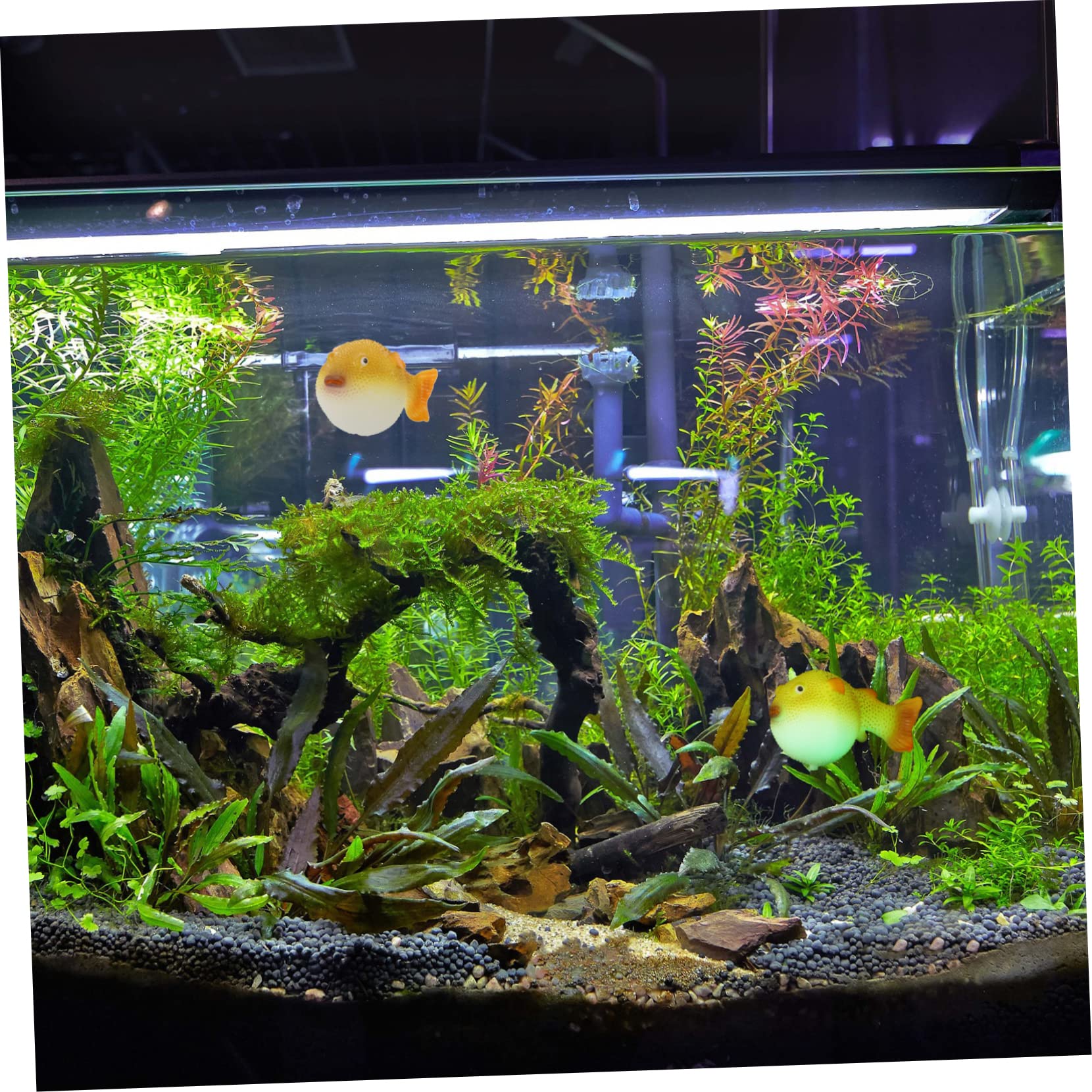 水槽受け渡し決定しました！