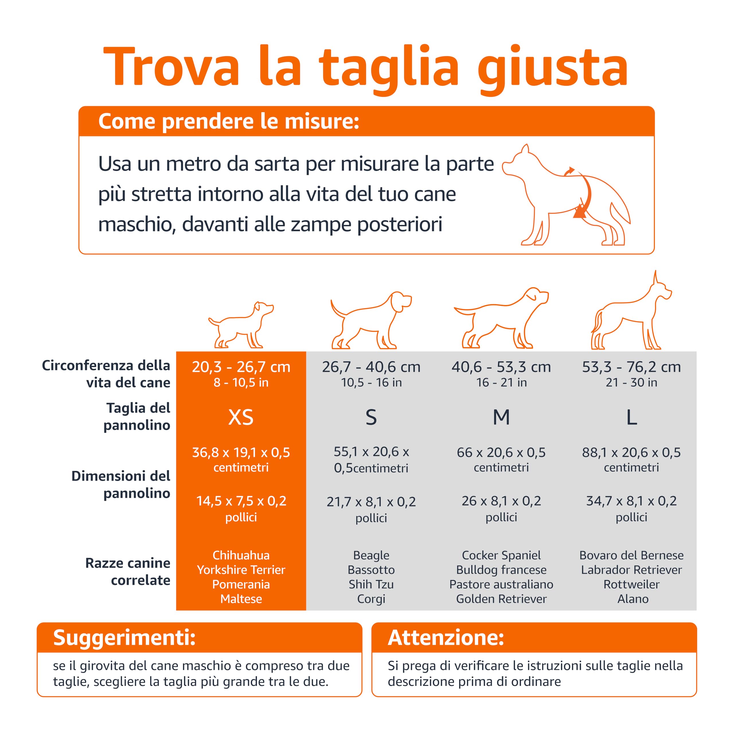 Amazon Basics Pannolini usa e getta per cani maschi, misura XS, confezione da 30, Bianco
