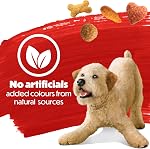 Beneful Originals Dry Dog Food, Real Beef - 7 kg Bag