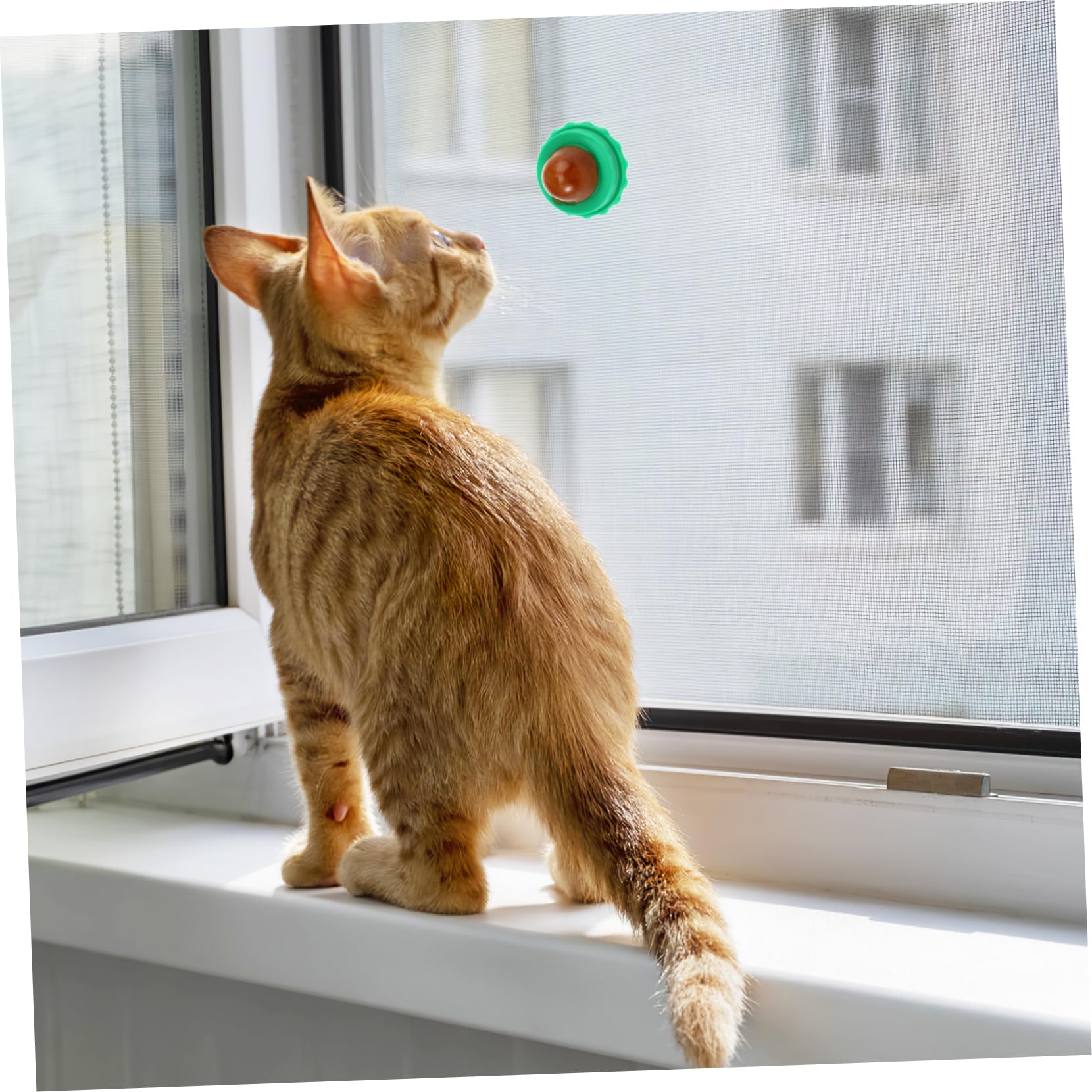 Ipetboom 30piezas Bolas Lamedoras para Gatos De Golosinas Nutritivas Sabores Aleatorios Suplemento Hidratante para Mascotas