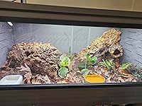 Review Image by Elena Elena