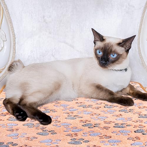 Miniatura 5 de 8 mantas para perros y gatos mantas suaves de terciopelo coral para dormir manta mullida con estampado de patas de perro para perros pequeños y