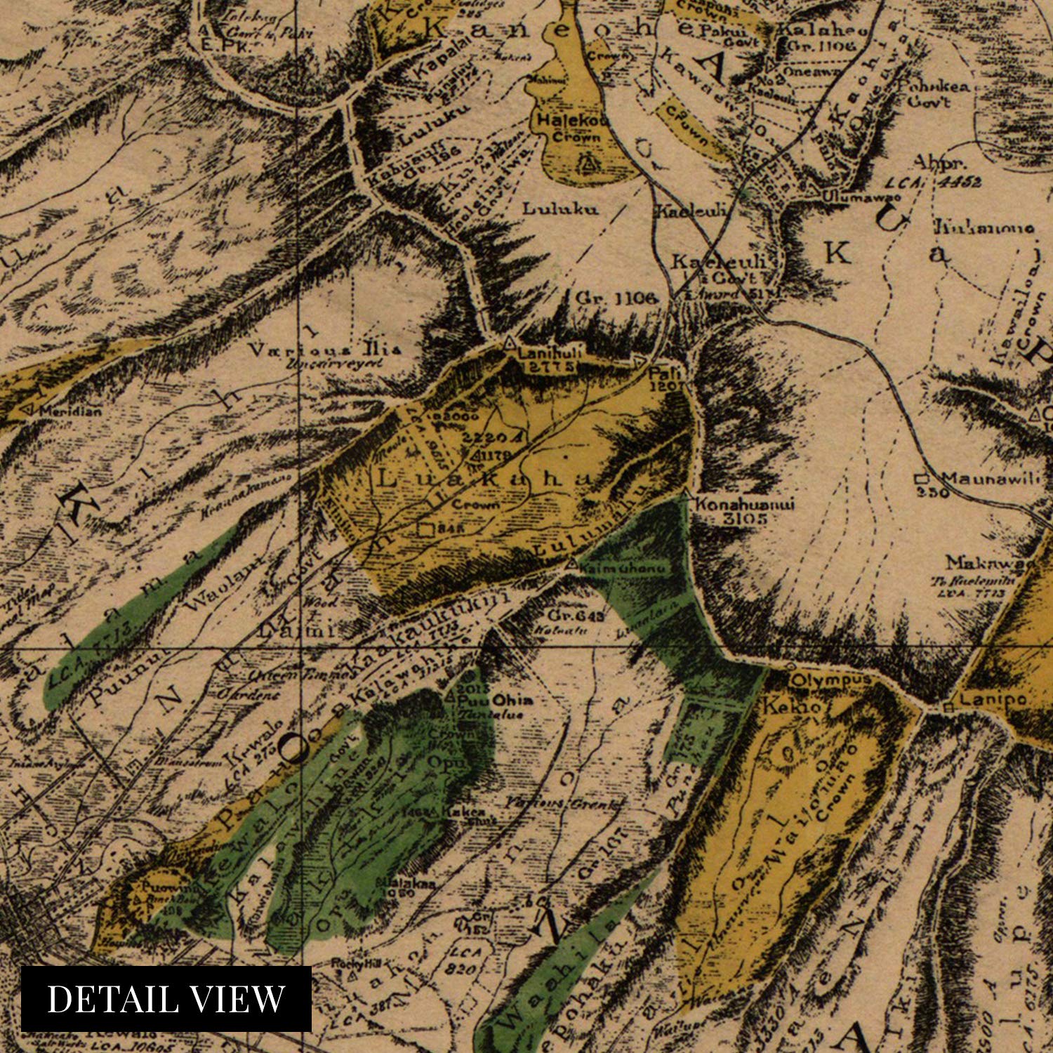 Amazon.co.jp: HISTORIX 1881 オアフハワイヴィンテージマップ - 18x24