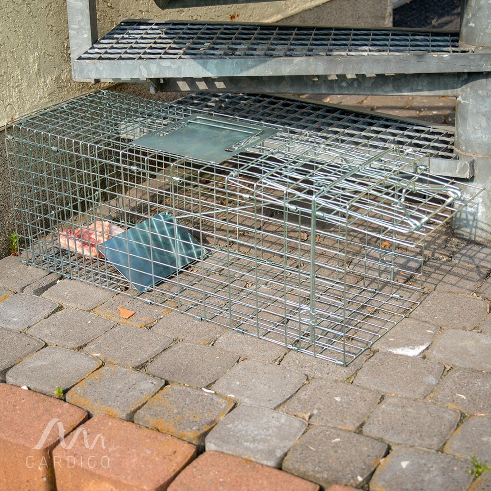Gardigo Live Marten Trap Lebendfalle Funktionsart Lockstoff 1 pc(s)