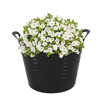 Pack Of 5-26/42/75 Litre Flexi Tubs - Multipurpose Flexible Coloured