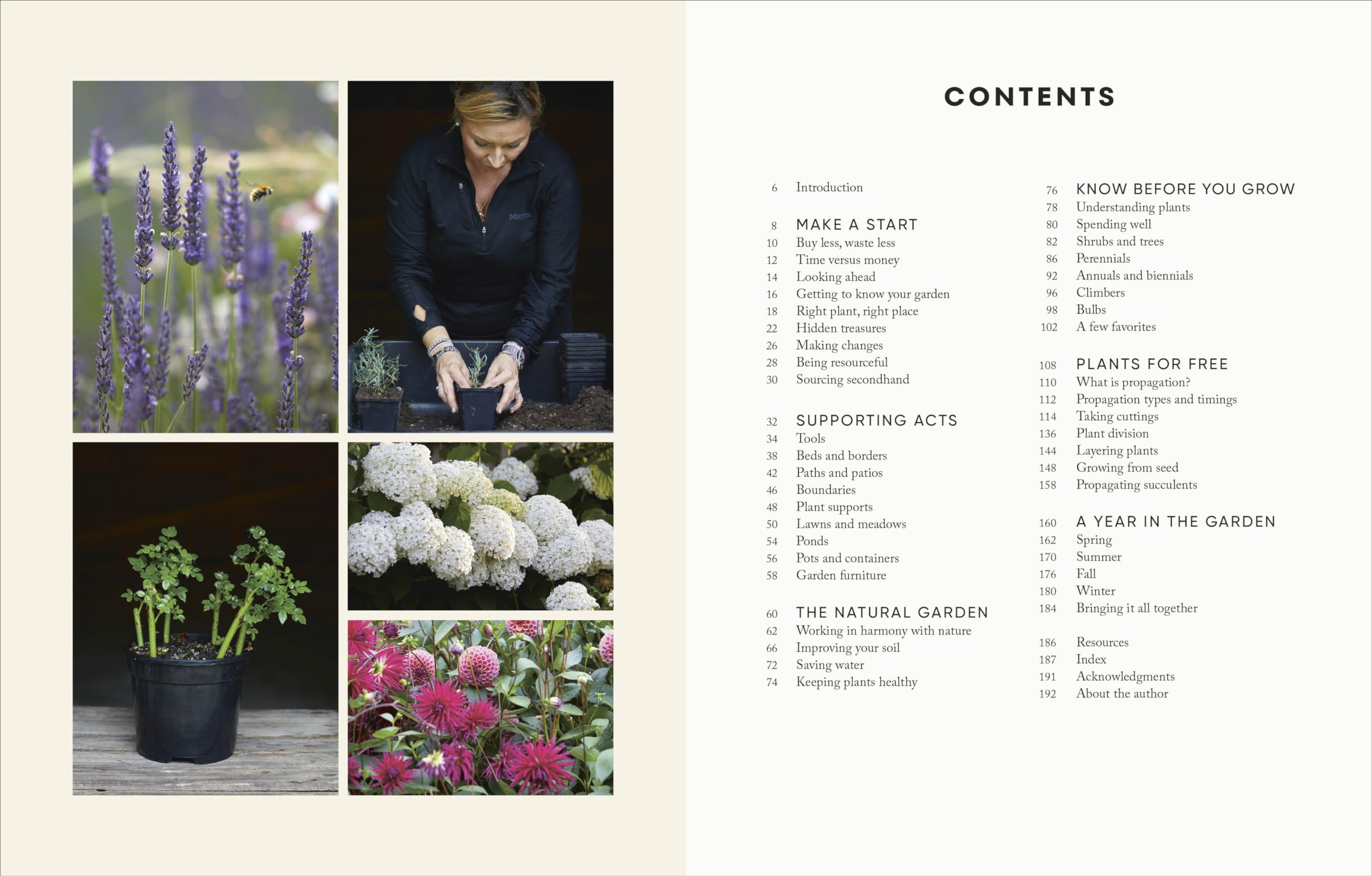 The Money-Saving Gardener: Create Your Dream Garden at a Fraction of the Cost: THE SUNDAY TIMES BESTSELLER - Image 3