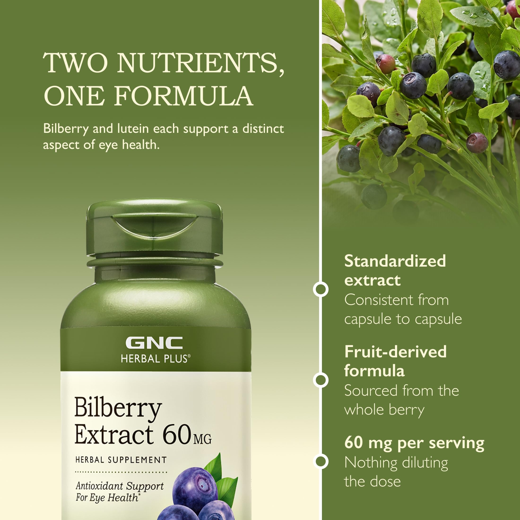 GNC Herbal Plus Bilberry Extract, Supports Eye Health, 100 Servings — Amazon image 4