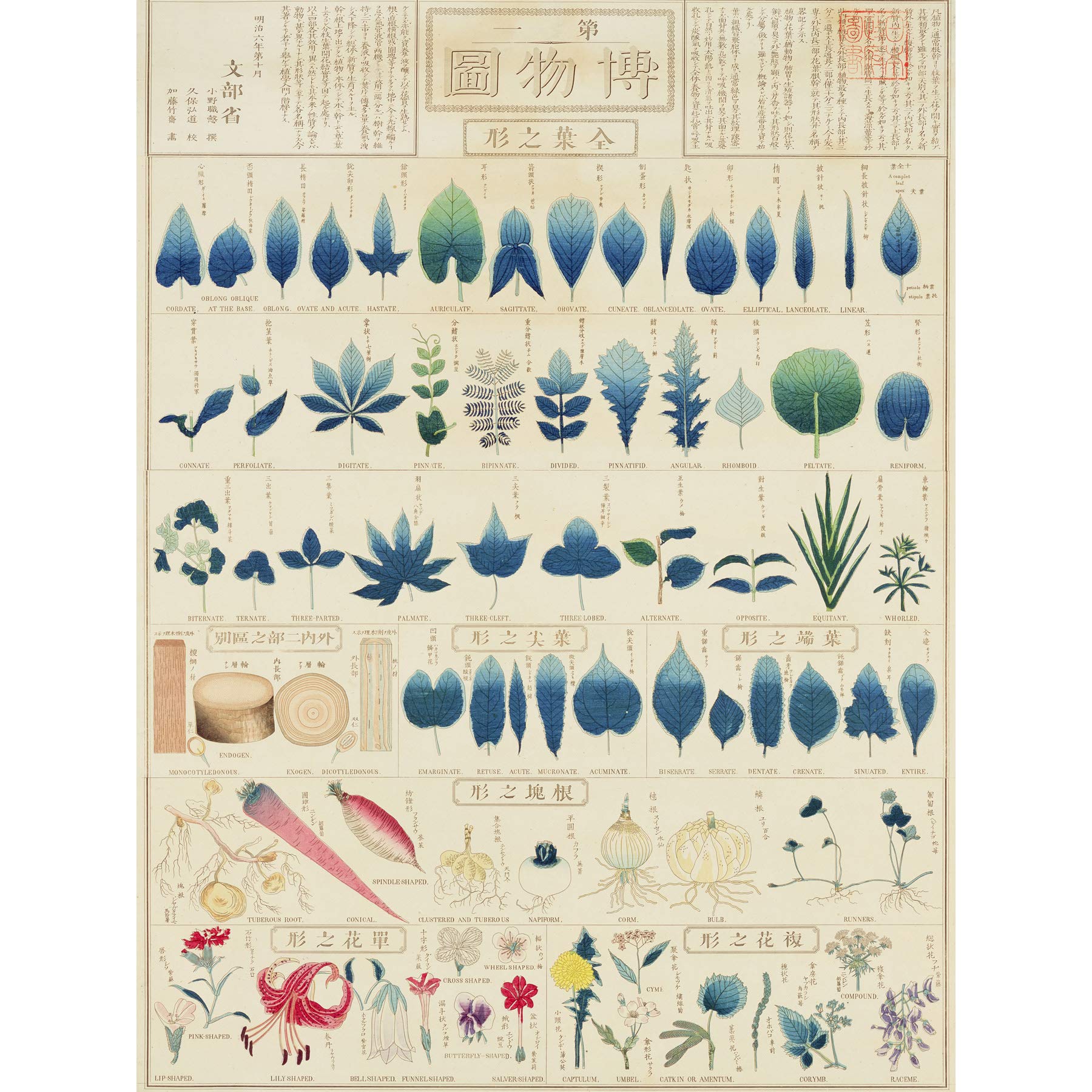 Artery8 Kato Chikusai Species of Leaves Japanese Large Wall Art Poster Print Thick Paper 18X24 Inch