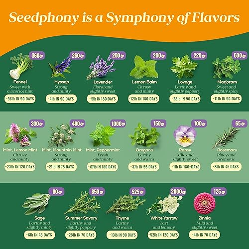 Miniatura 4 de Paquete de Variedad de 35 Semillas de Hierbas Medicinales y de Té - Más de 16,285 Semillas de Hierbas Reliquia Sin OGM para Plantar en Interiores y