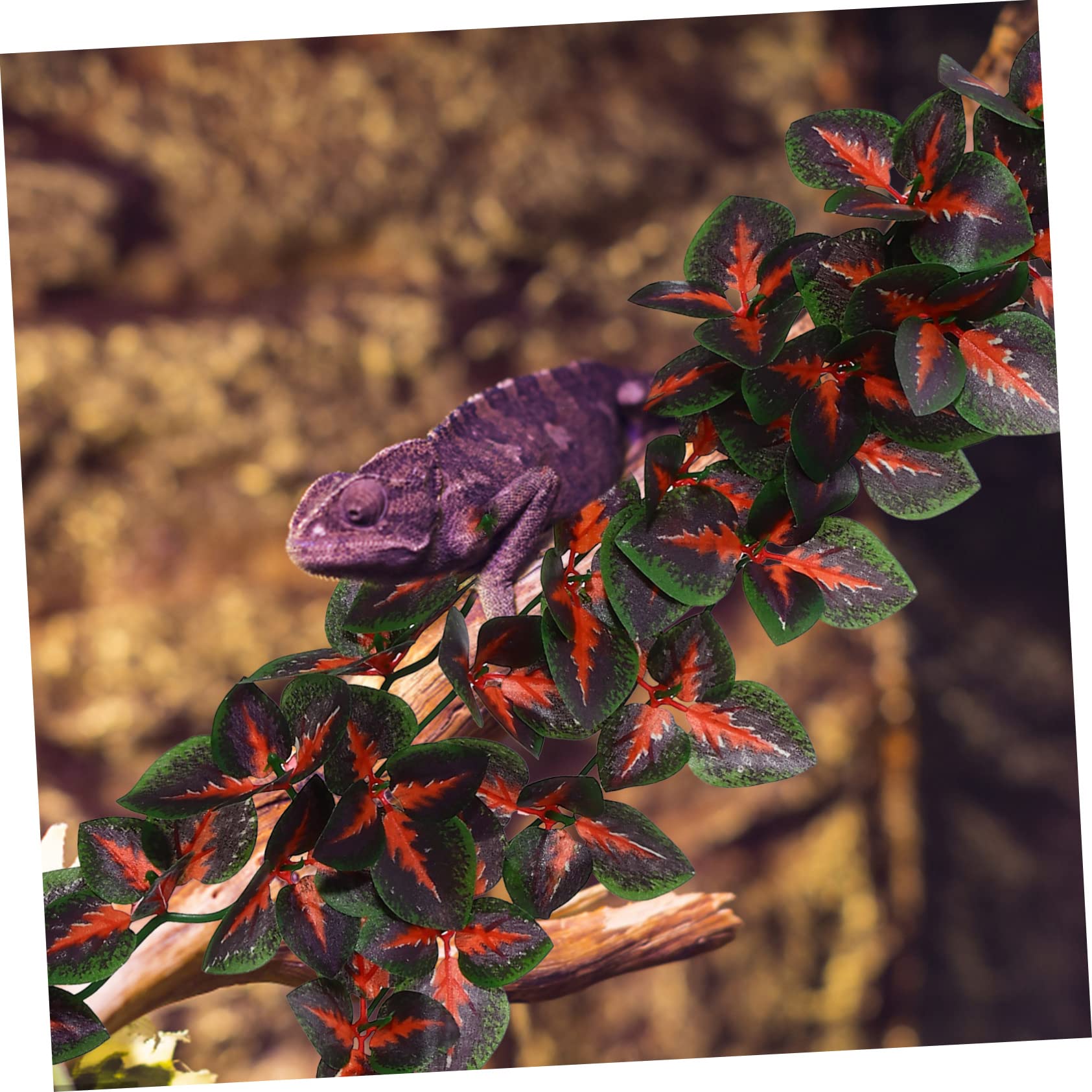 ifundom 1set Reptile Plants with Suction Cups Artificial Hanging Vines for Terrarium Decor for Tanks and Habitats Adds Natural Touch to Reptile Environments 4pcs