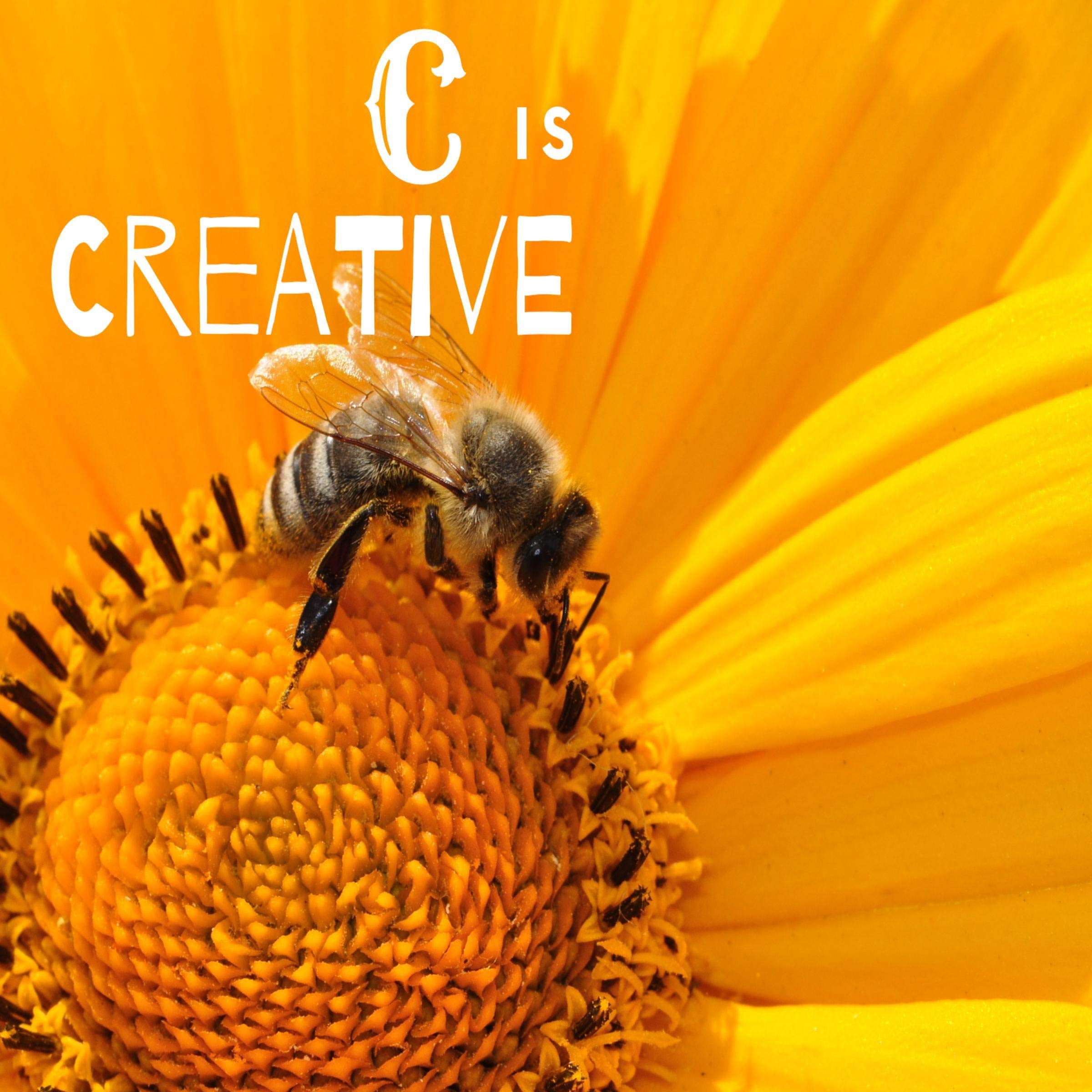 C Is Creative