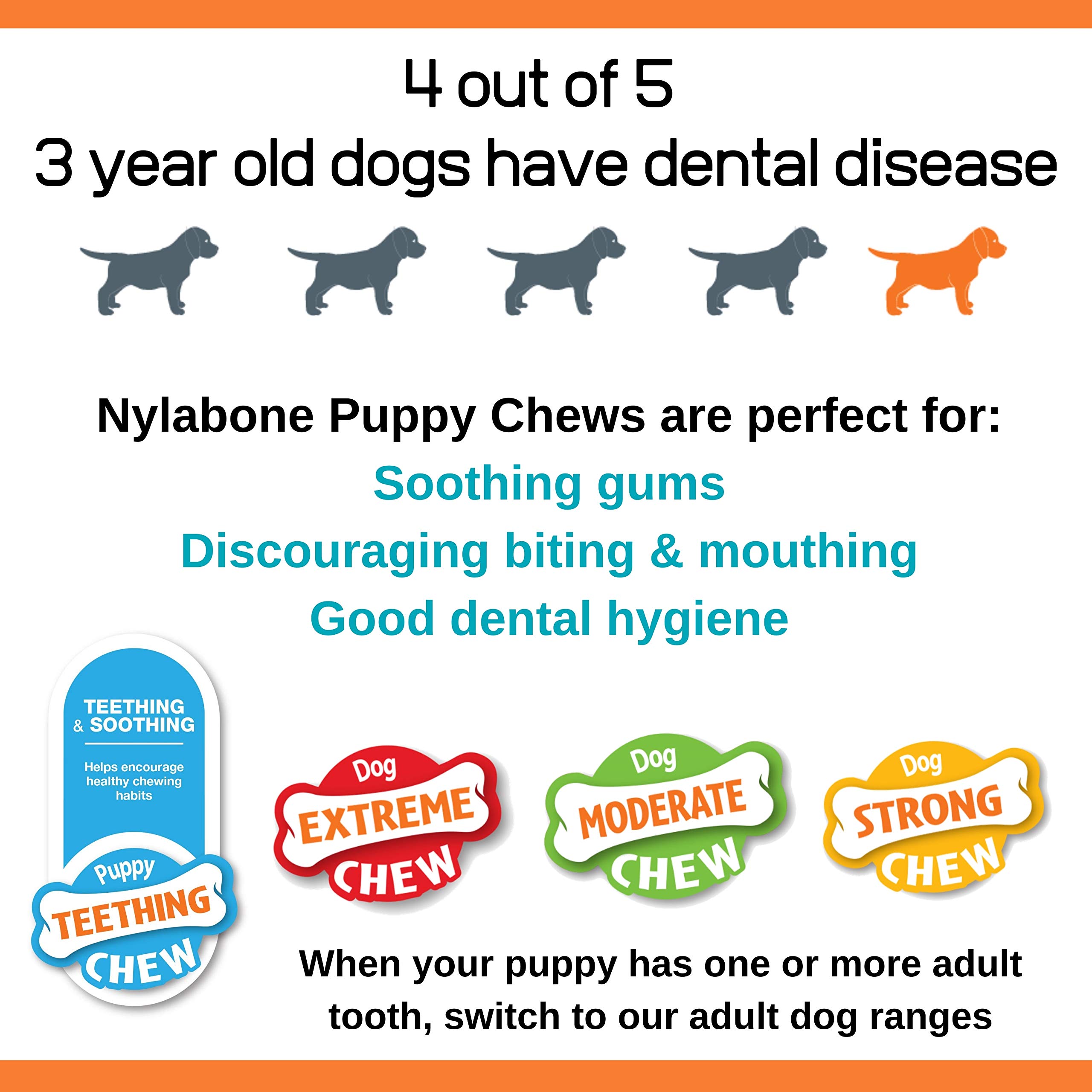 Are Nylabones Safe For Dogs To Swallow