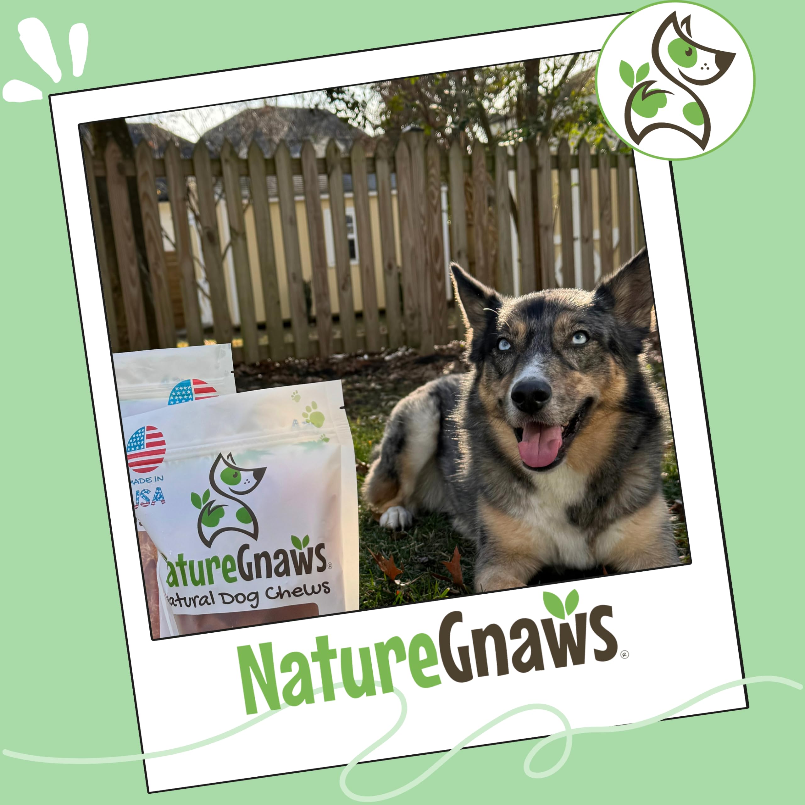 Nature Gnaws Anillos de tendón de pavo para perros (8 onzas) – Delicioso aperitivo de recompensa sin granos para razas pequeñas, medianas y grandes – Golosinas naturales de primera calidad para perros
