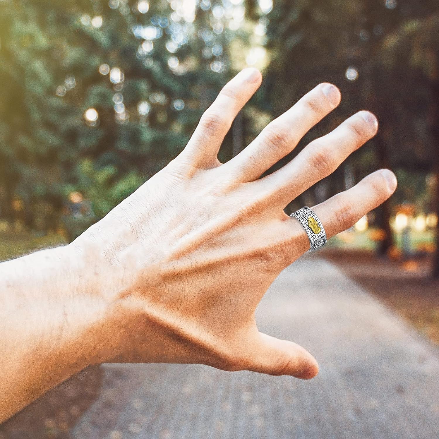 Seiyang Feng Shui Ring 925 Stering Silver Pixiu Mantra Ring Protection Wealth Adjustable Rings Gift for Men Women (with Gift Box) - Image 6