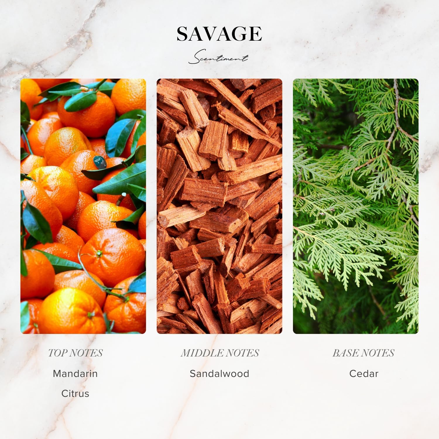 Diffuser Oil - Savage Designer Collection | Aromatherapy Home Fragrance | Luxurious Scent (120ml)