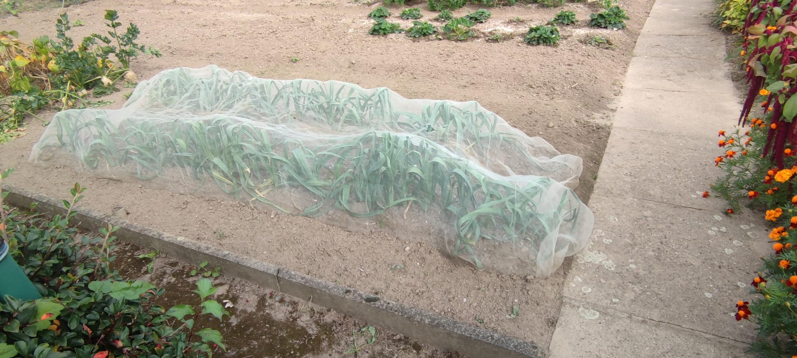 EraGreen Abdeckvlies 19g/m² - 3,2m x 40m - Frostschutzvlies für Pflanzen, atmungsaktiver Wachstumsvlies, Frühbeetvlies, Gartenvlies zur Abdeckung von Gemüsebeeten