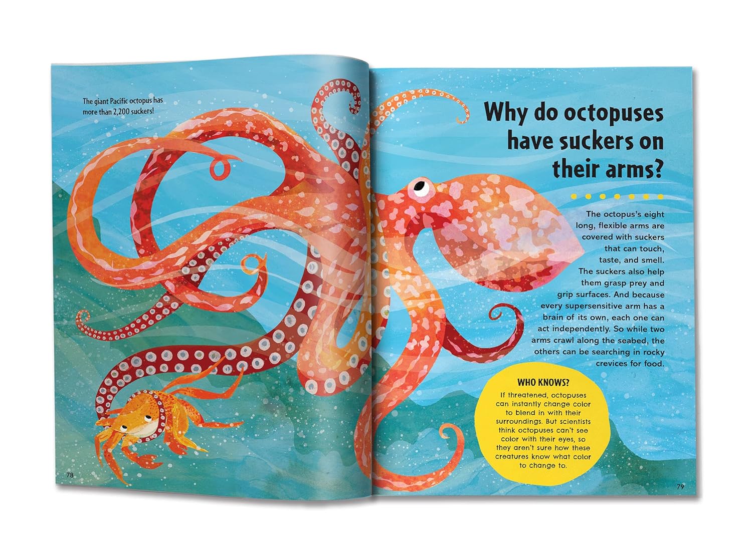 Britannica's First Big Book of Why: Why can't penguins fly? Why do we brush our teeth? Why does popcorn pop? The ultimate book of answers for kids who need to know WHY! - Image 9