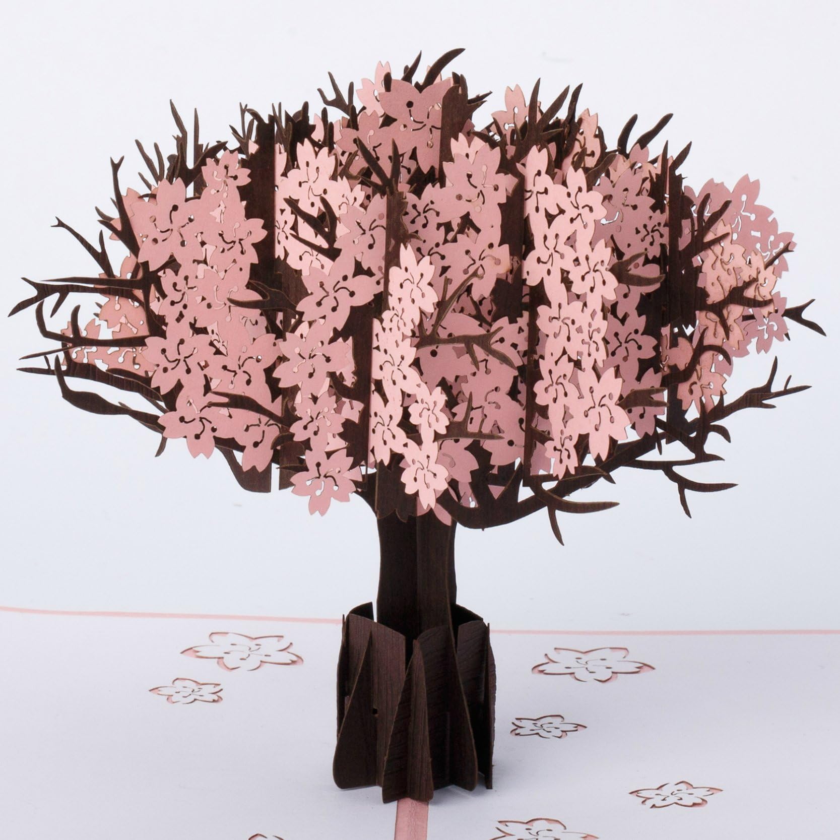 Cherry Blossom Tree.
